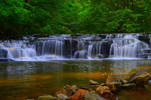 2-Corbett Glen I